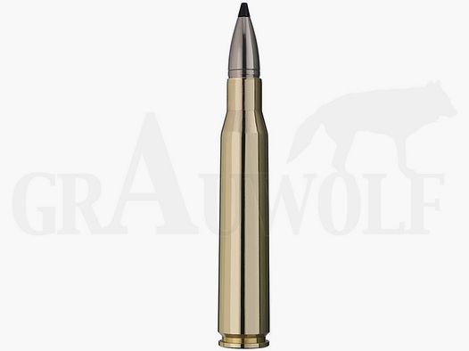 8x68 S 180 gr / 11,7 g RWS Speed Tip Pro Patronen 20 Stück