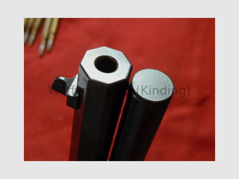 Winchester Century of Leadership