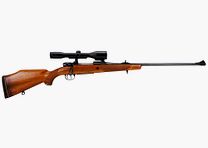 Mauser 2000