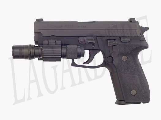 SIG-SAUER P229 TCT LAMPE(PISTOLET)