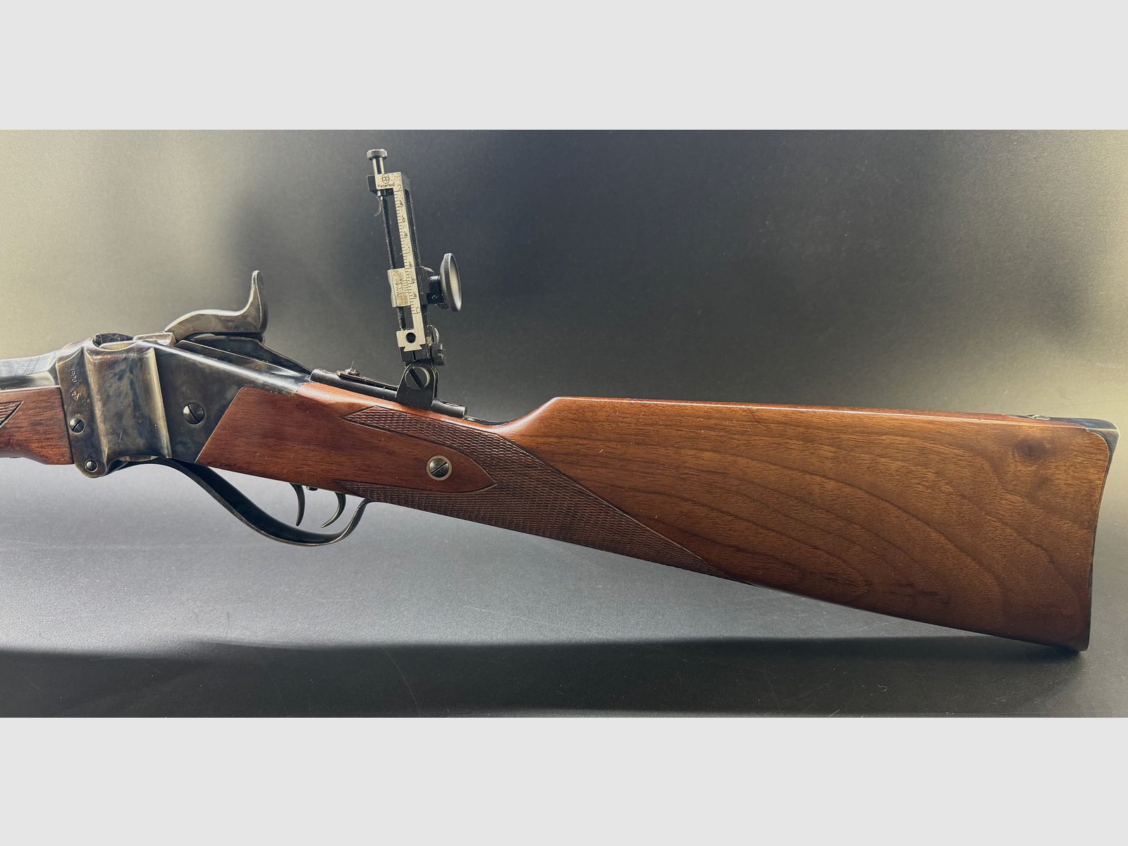 Davide Pedersoli Sharps Sporting Rifle Model 1874 Kal.: 45-70 met diopter