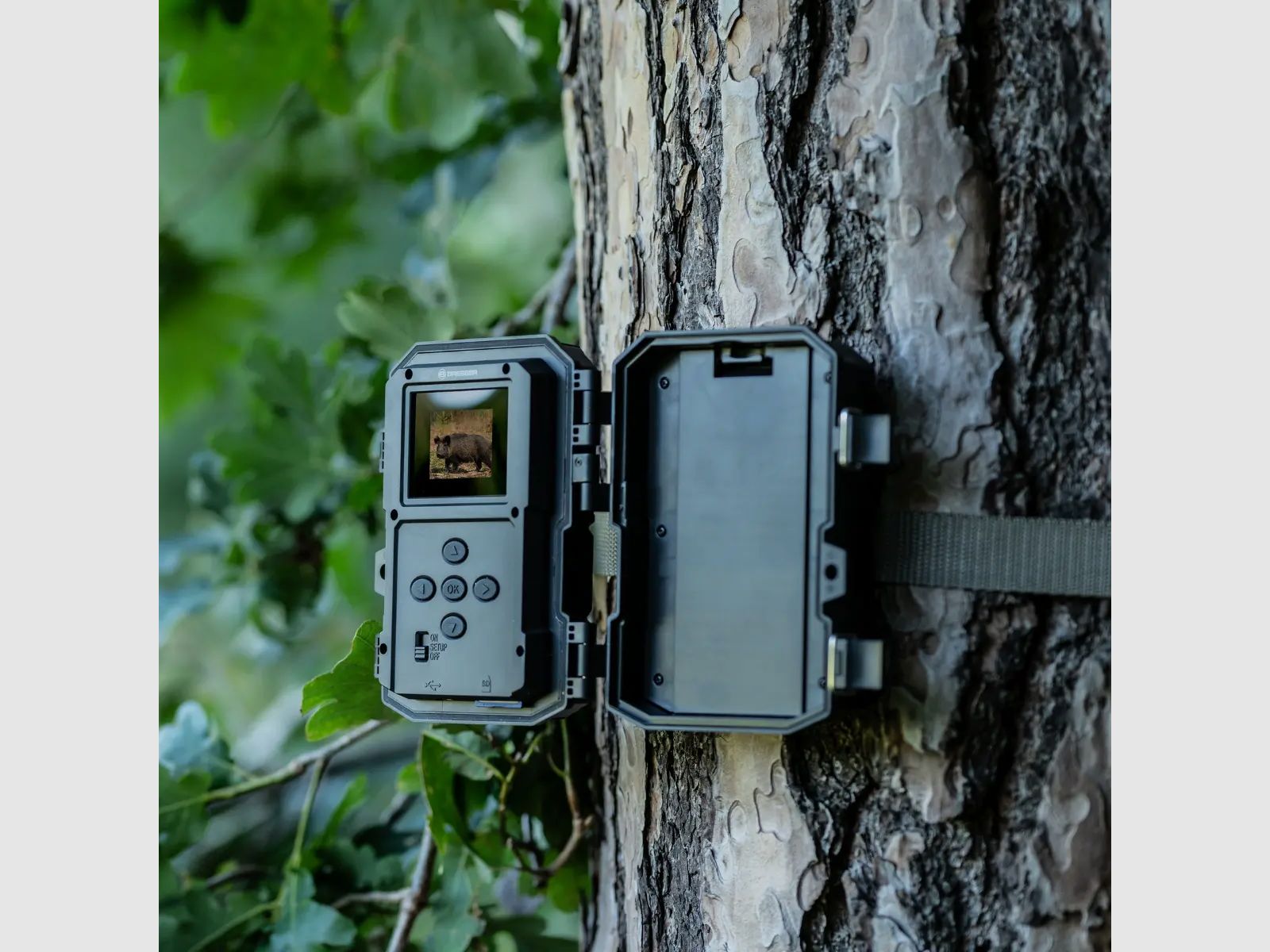 Bresser 60°-Telecamera per l'osservazione della fauna selvatica
