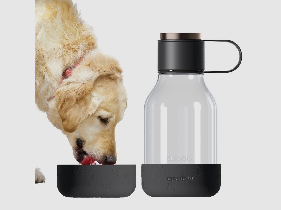 Asobu - Dog Bowl - Flasche aus Tritan mit Hundenapf 1,5 Liter Schwarz