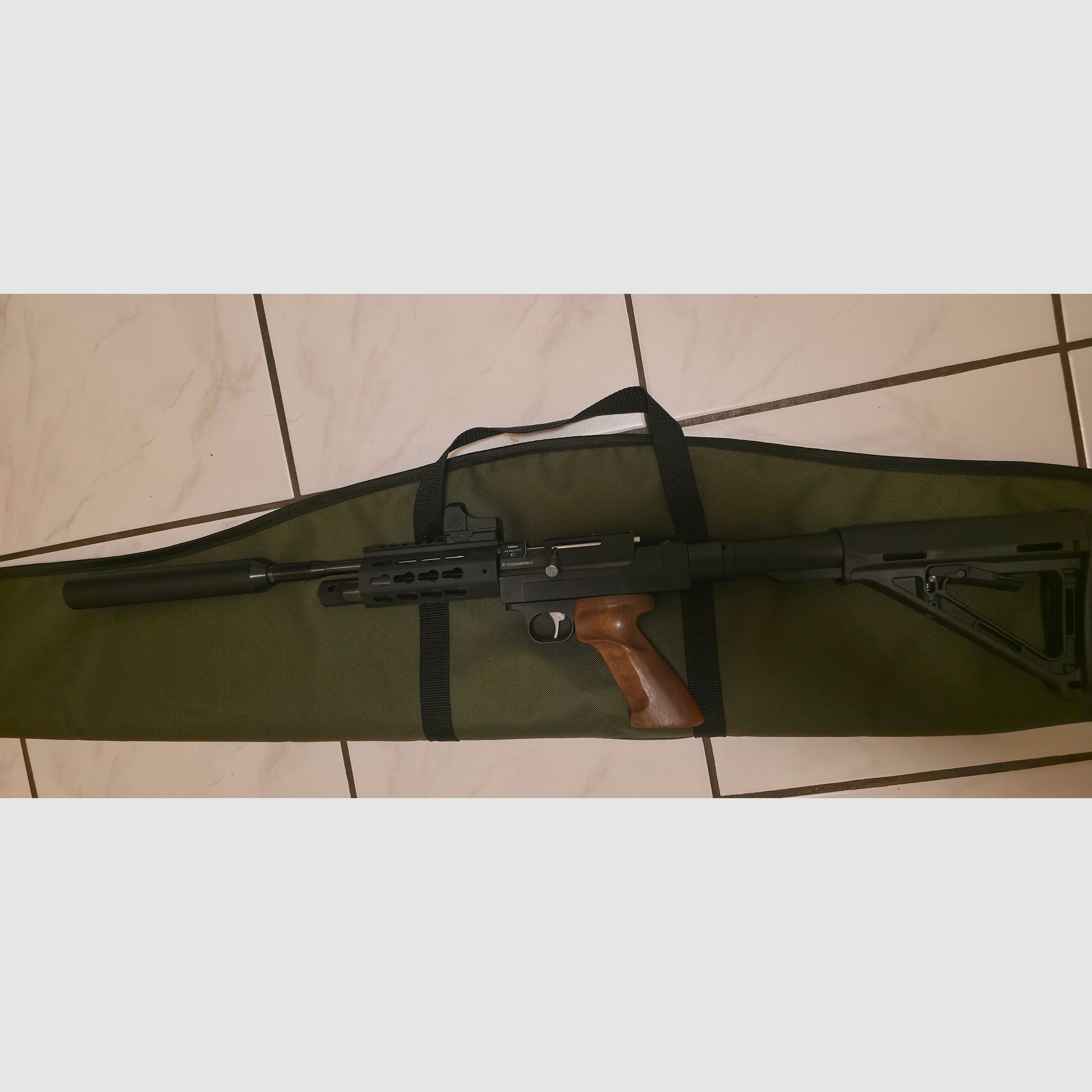 Diana Airbug co2 Luftpistole 