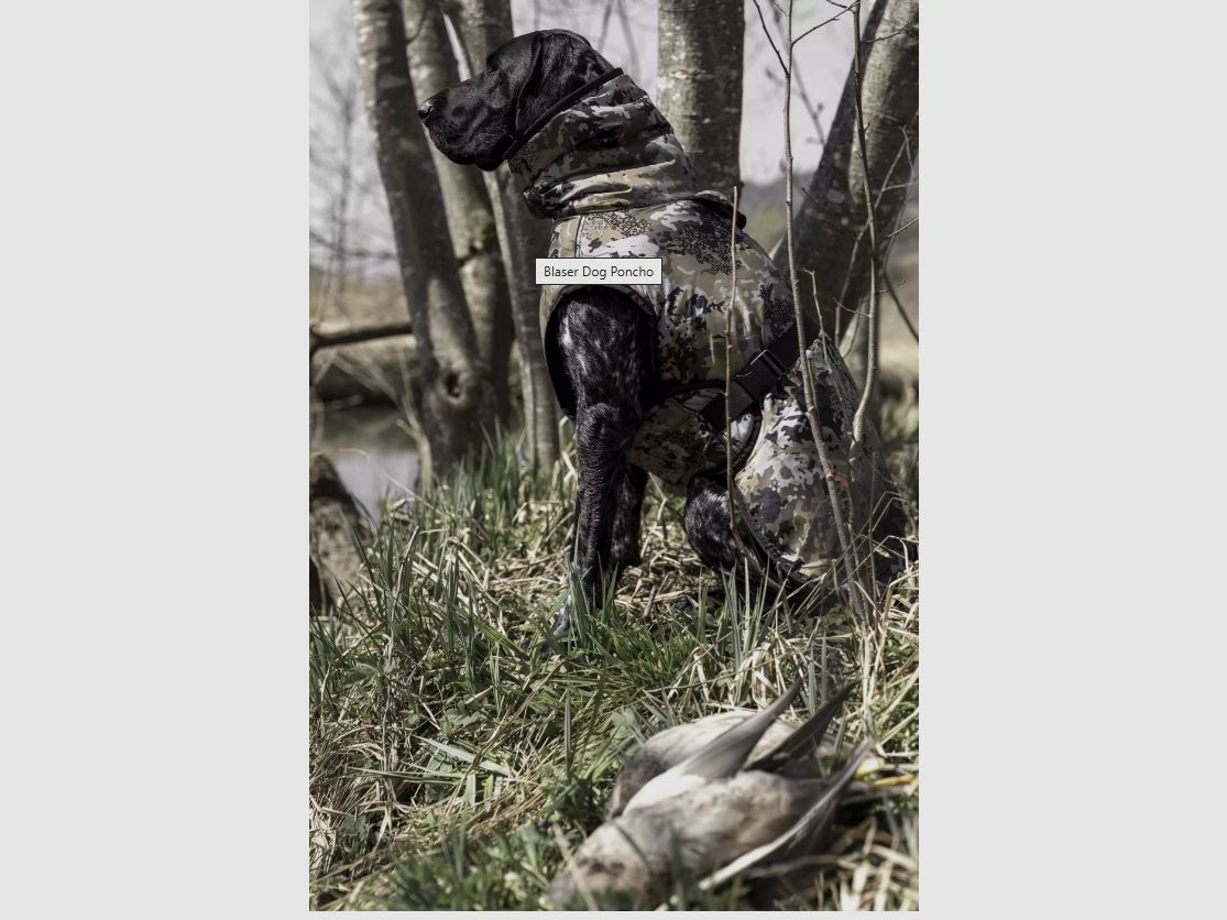 Blaser Hundepullover, Bild 8 von 8