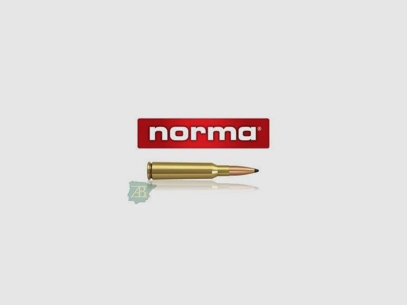 Büchsenmunition Norma Nosler Partition