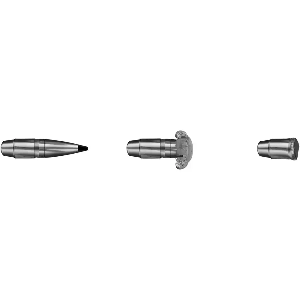 RWS .308 Win. Speed Tip Professional Short Rifle 10,7g 165gr, image 5 sur 6