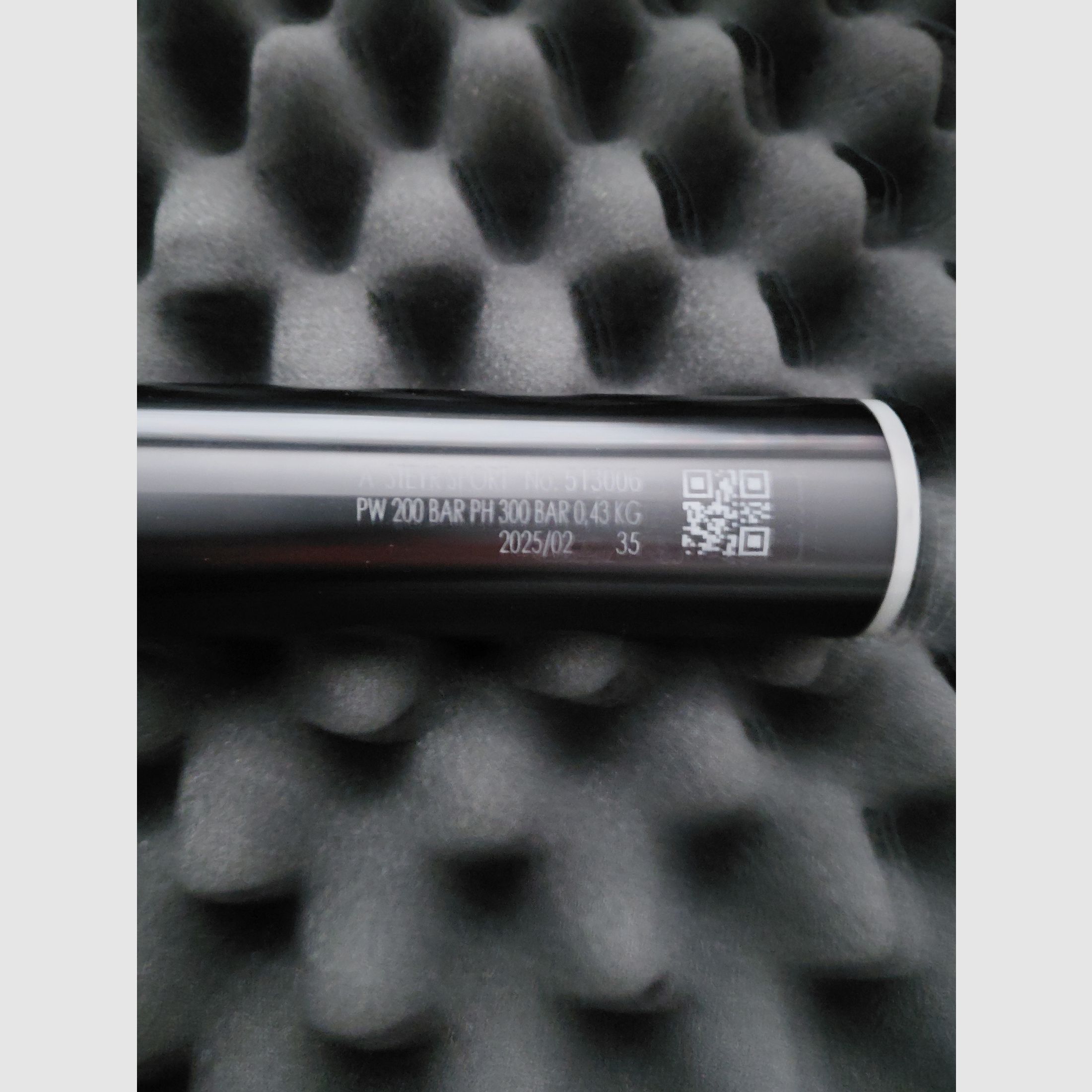 Steyer Challenge Sport LG