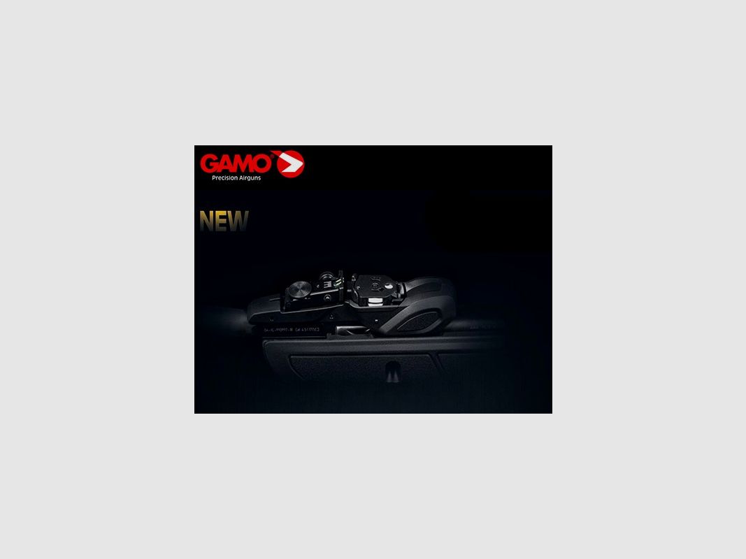 GAMO ROADSTER IGT 10X GEN2, Bild 3 von 4