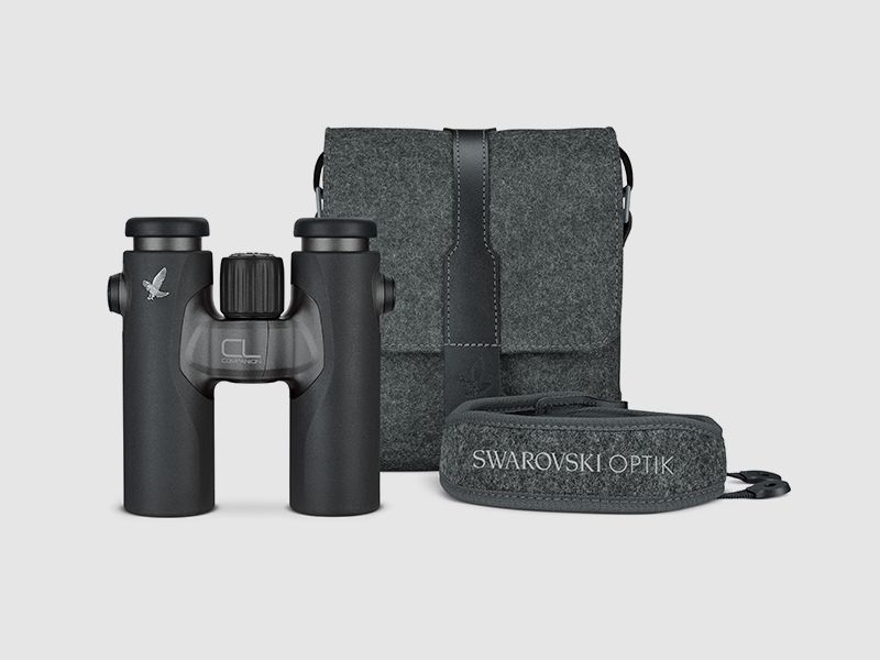 Swarovski CL Companion 10 x 30 antracite Northern Lights