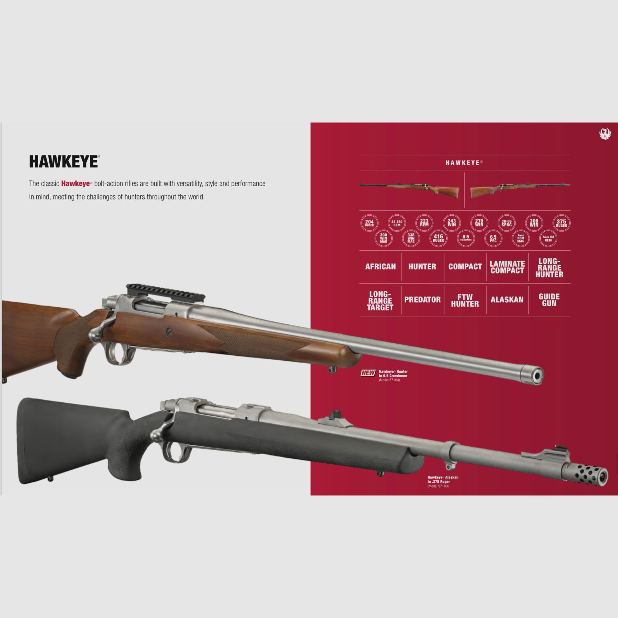RUGER / CARABINA SEMIAUTOMÁTICA – BOLT ACTION / TODOS LOS MODELOS, imagen 14 de 16