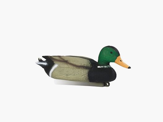 Forme de canard colvert male Stepland