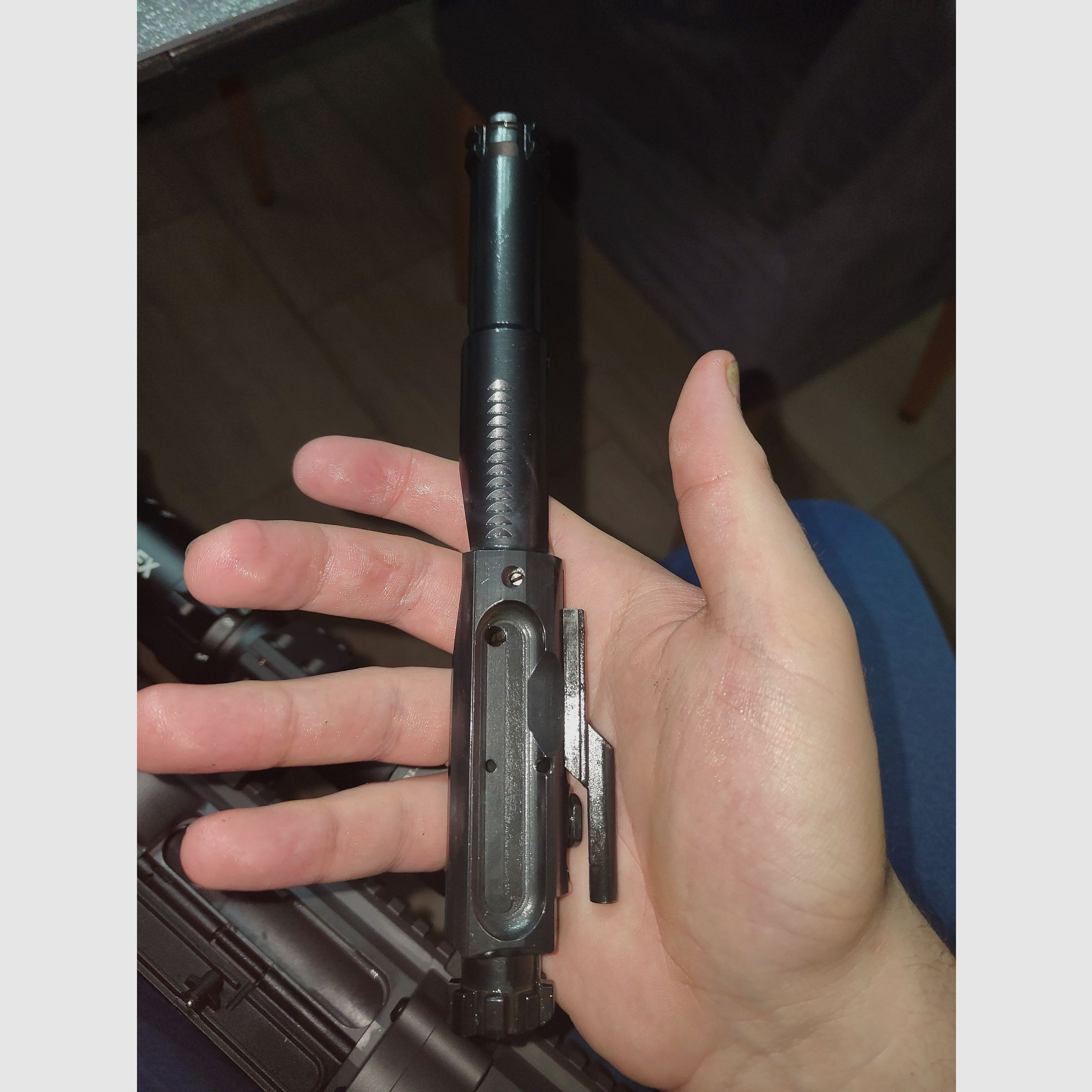 DAR 10, Präzisionshalbautomat in .308Win