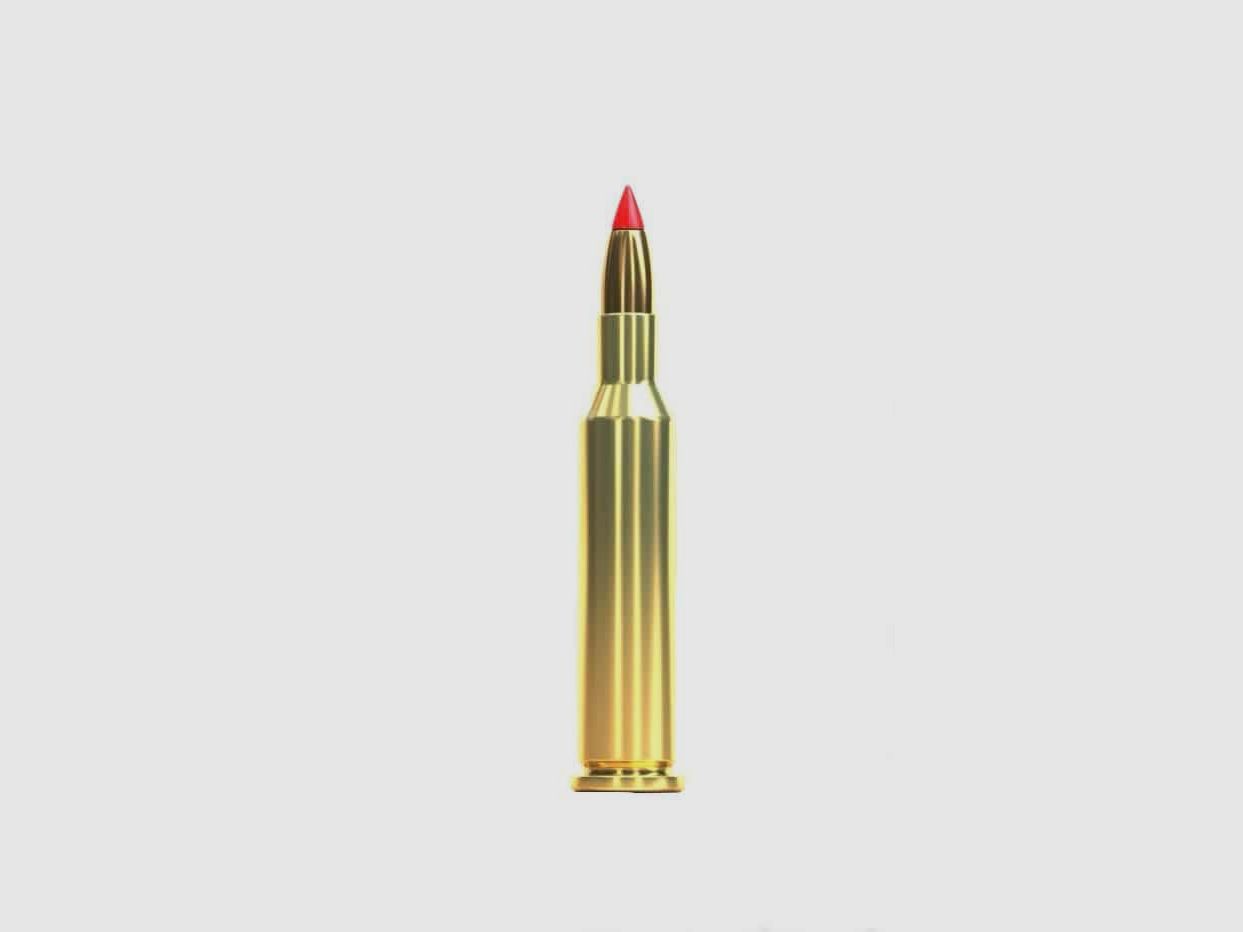.17 Hornet Sellier & Bellot V-Max 1.3g / 20grs., Bild 2 von 2