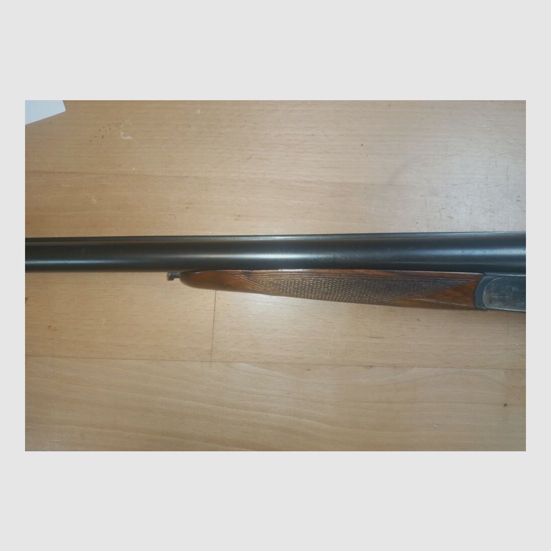 Geco Aigle