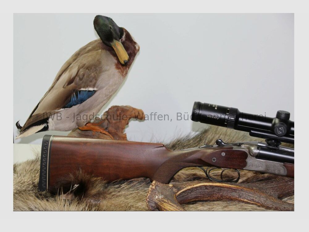 Sauer & Sohn mit Zeiss Victory Varipoint und mündungslangen ESL 8x57JRS;16/70;.22Hornet