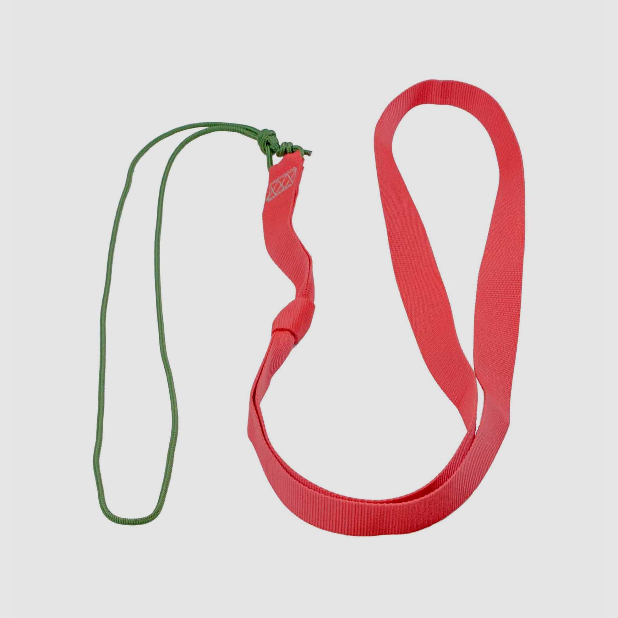 Ayuda para la recuperación de muflones