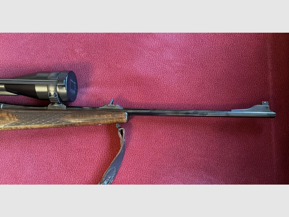 Steyr Mannlicher L