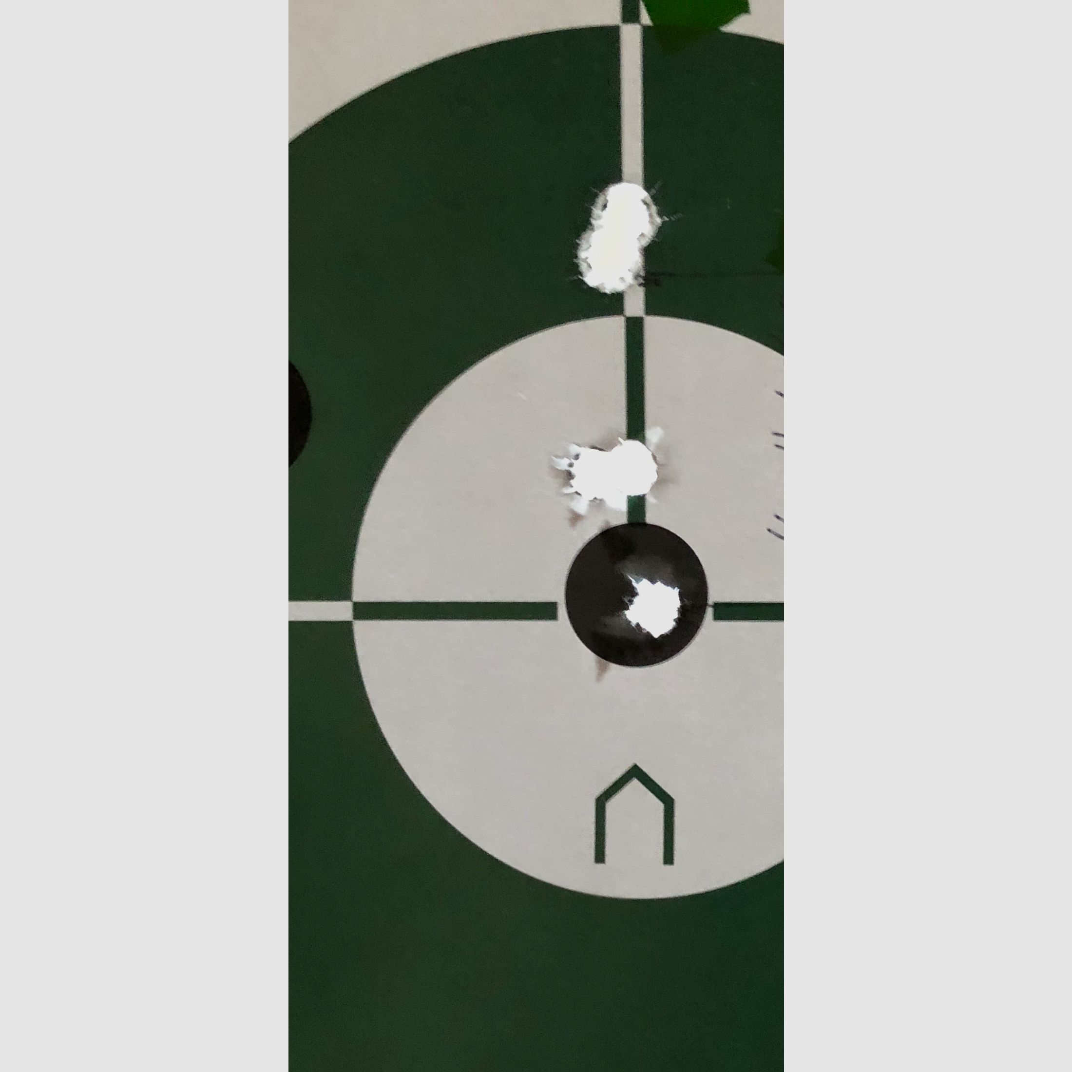 Sauer 101 Select 308 with Steiner Ranger 6