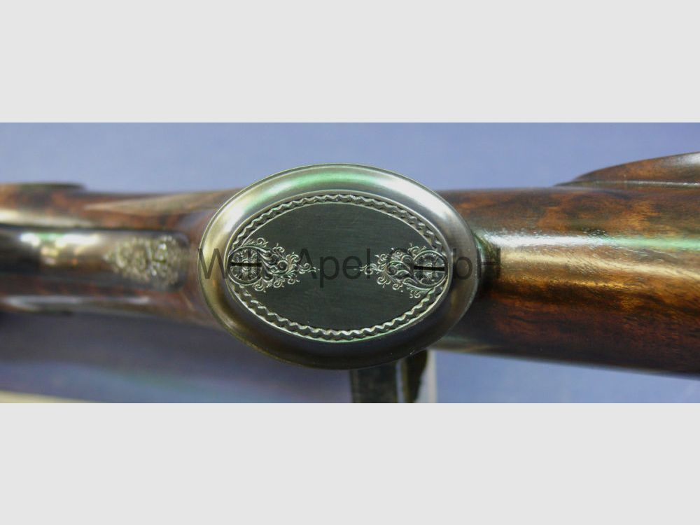APEL Lever Action