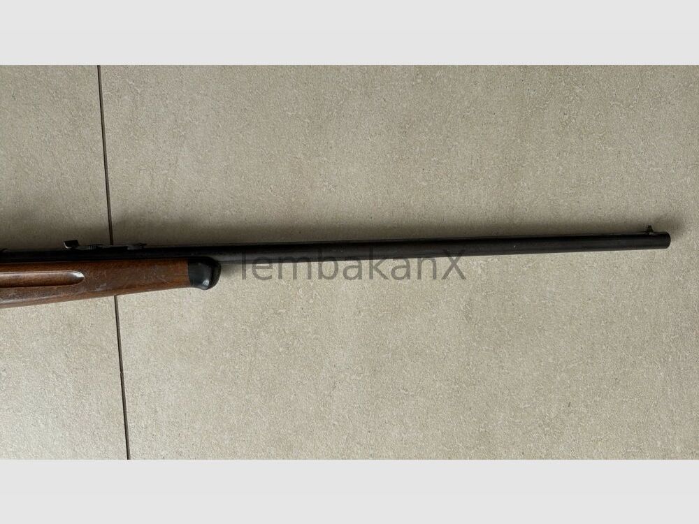 Anschütz .22lr