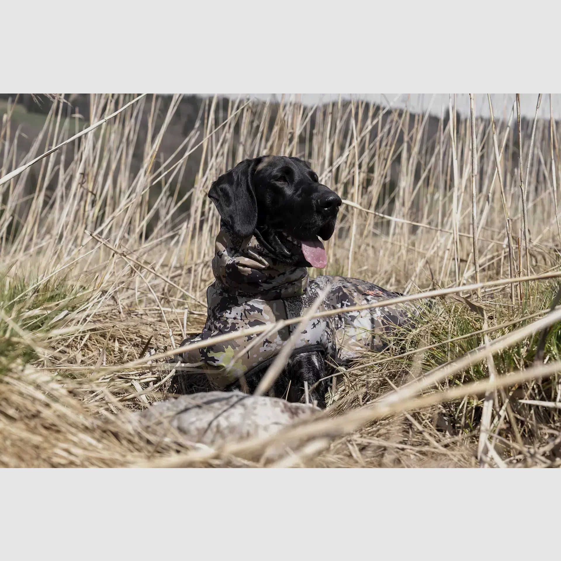 Blaser Hundeponcho HunTec Camo