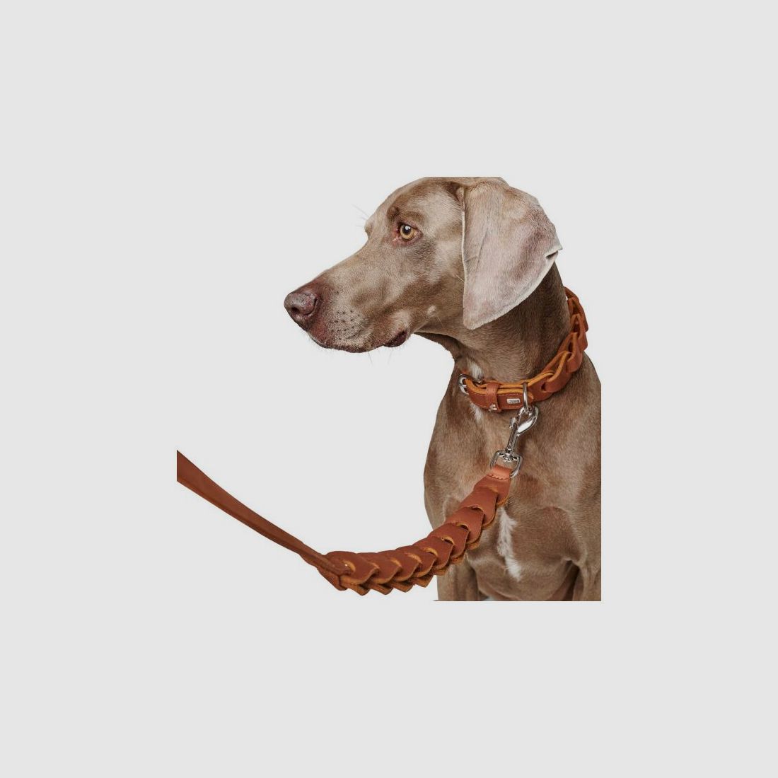 Hunter Führleine Solid Education Chain L 120 cm; B 2,0 cm