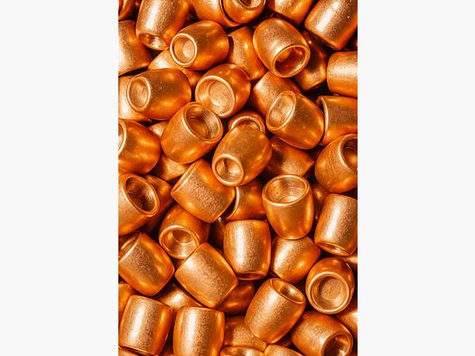 AEA Megalodon Challenger projectiles slugs cal. 495 / .50