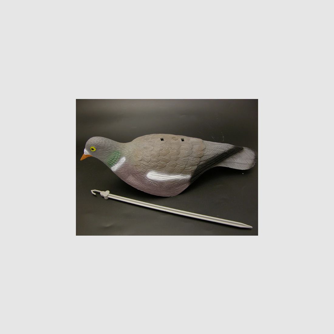 LOCKTAUBE Pickend Kunststoffhalbschale Top Qualitt