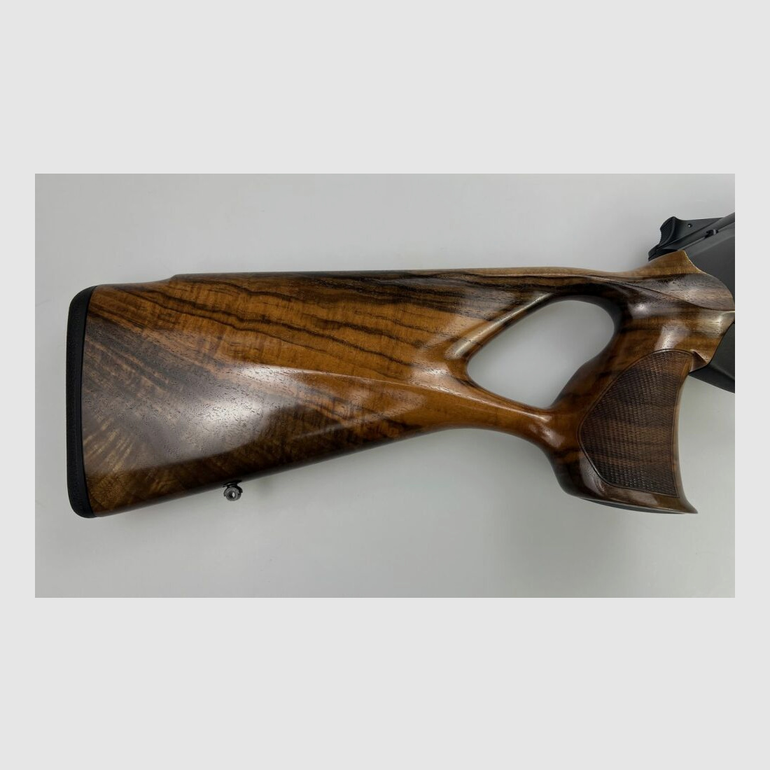 Blaser R8 Success