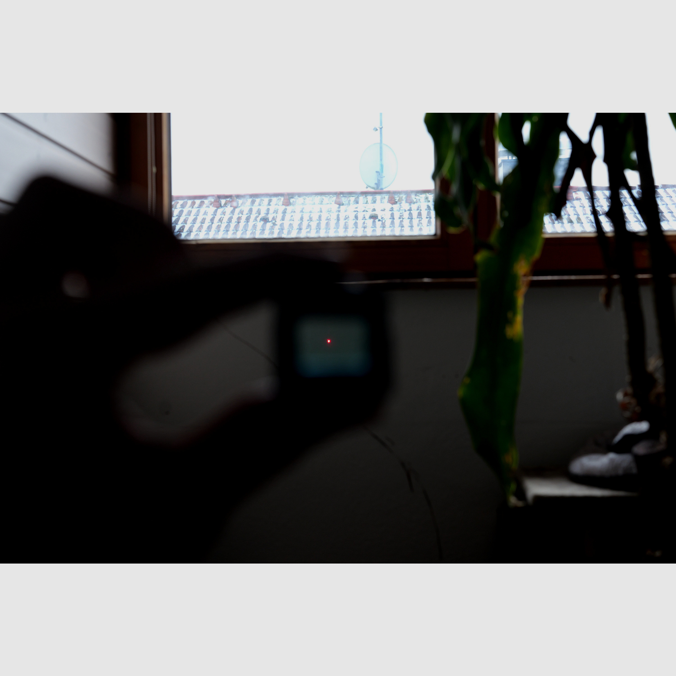 Steiner MPS Reddot Rotpunkt Reflexvisier