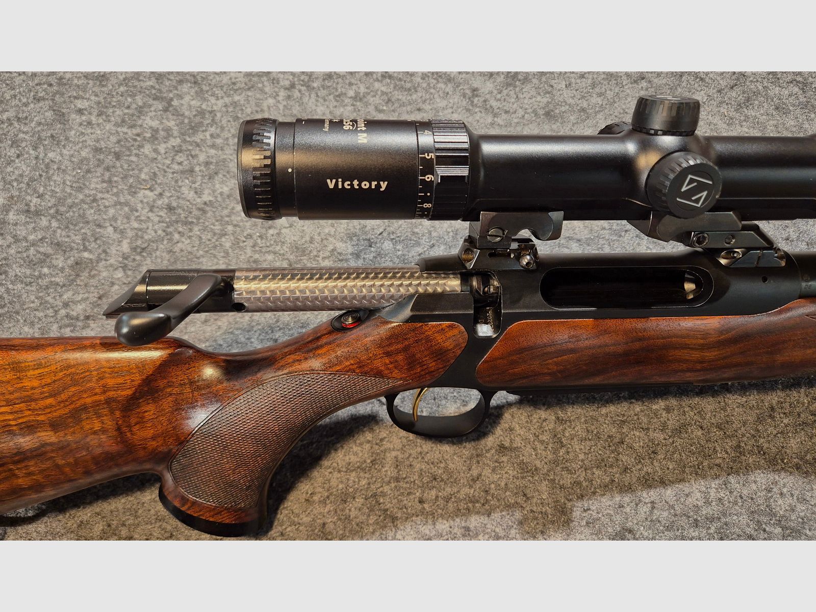 Sauer 202 Forest 