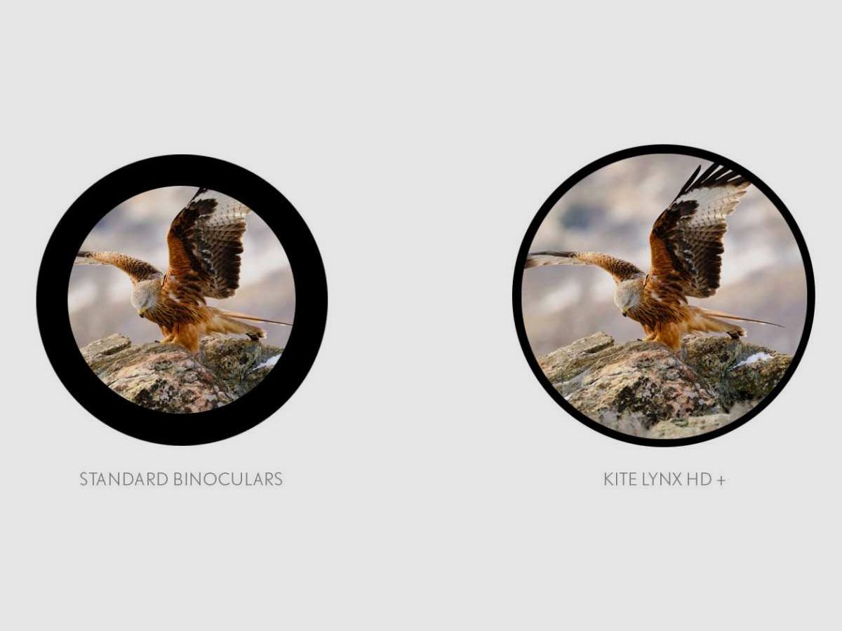 JUMELLES LYNX HD 8X42 KITE OPTICS, image 4 sur 4