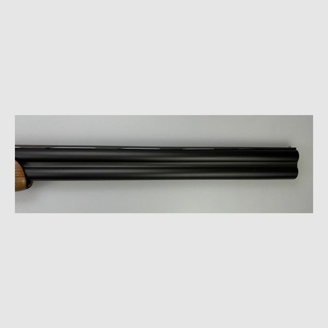 Blaser F16 Game