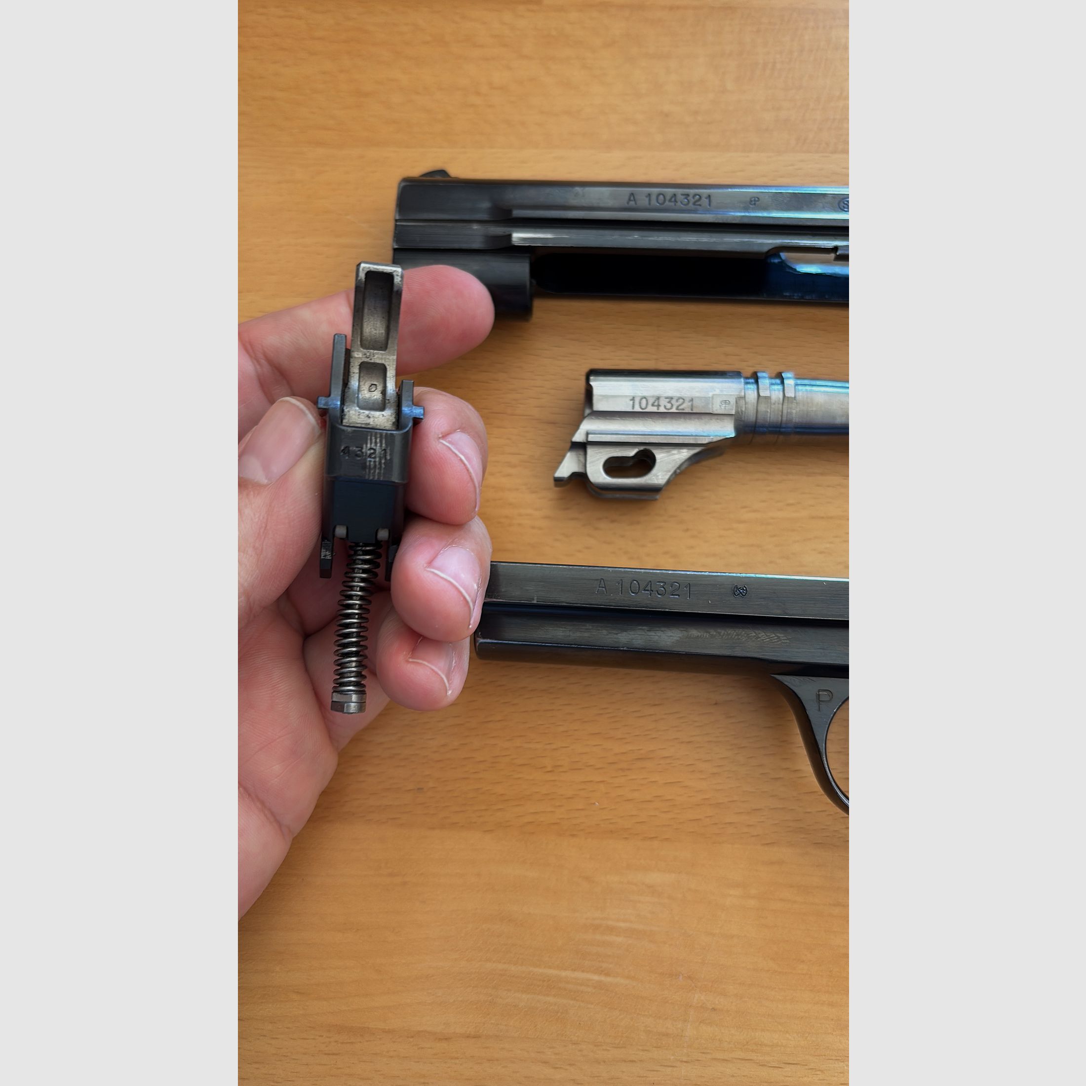 SIG P210