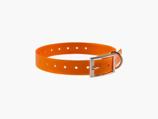 Collier pour chien de chasse grande taille en P.U
