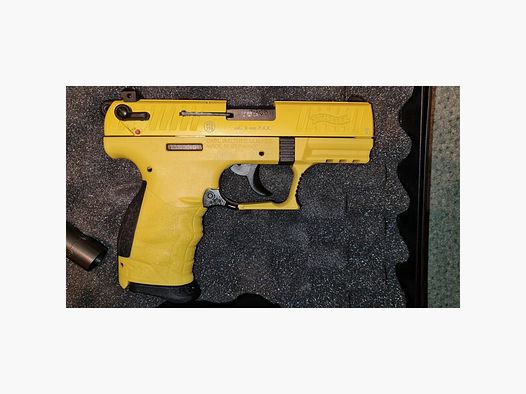 P22 9mm P.A.K. Tweety