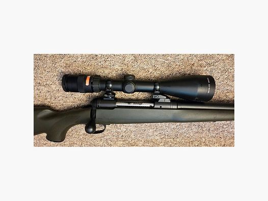 Savage 110, 30-06, Trijicon 2,5-10x56, Aimpoint Rotpunkt, Schwenkmontage