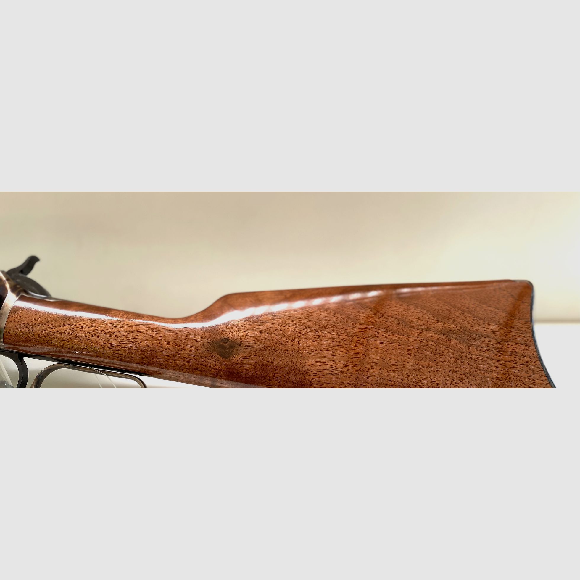 CHIAPPA 1892 L. A. Carbine | 20" | .45 LC