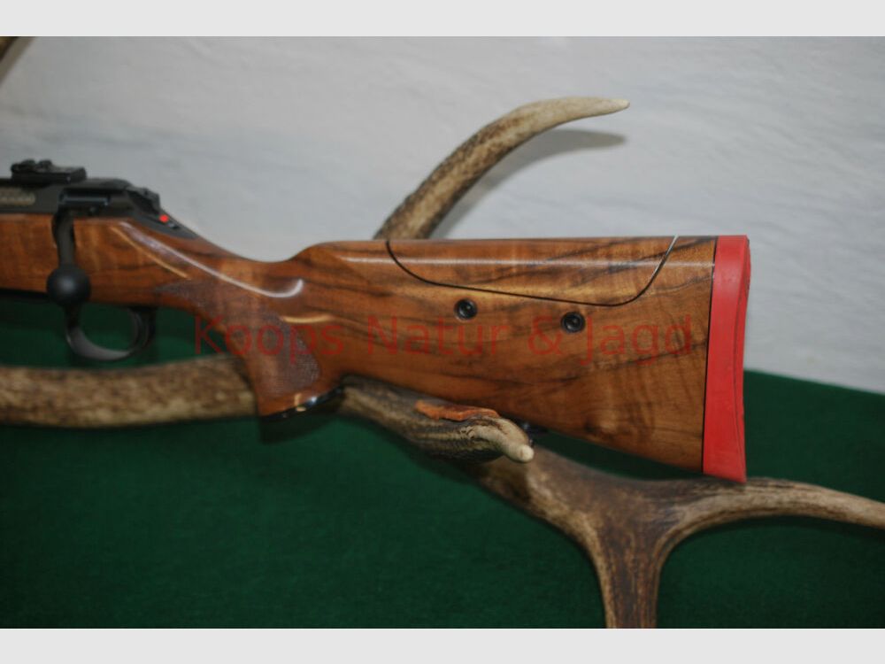 Sauer 101 Artemis