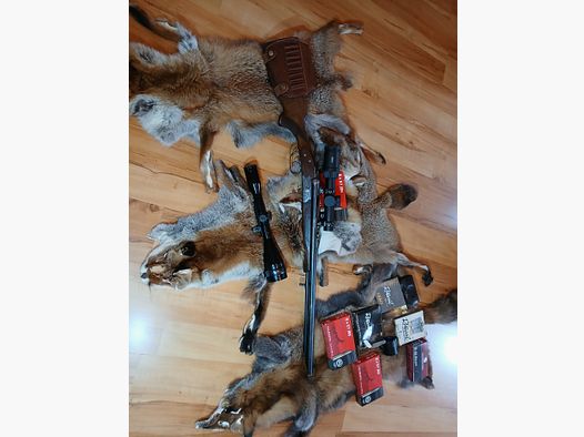 Perforación Fortuna Suhl