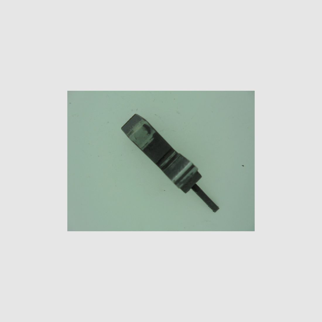 CHIEN CZ 122 SPORT, image 2 sur 3