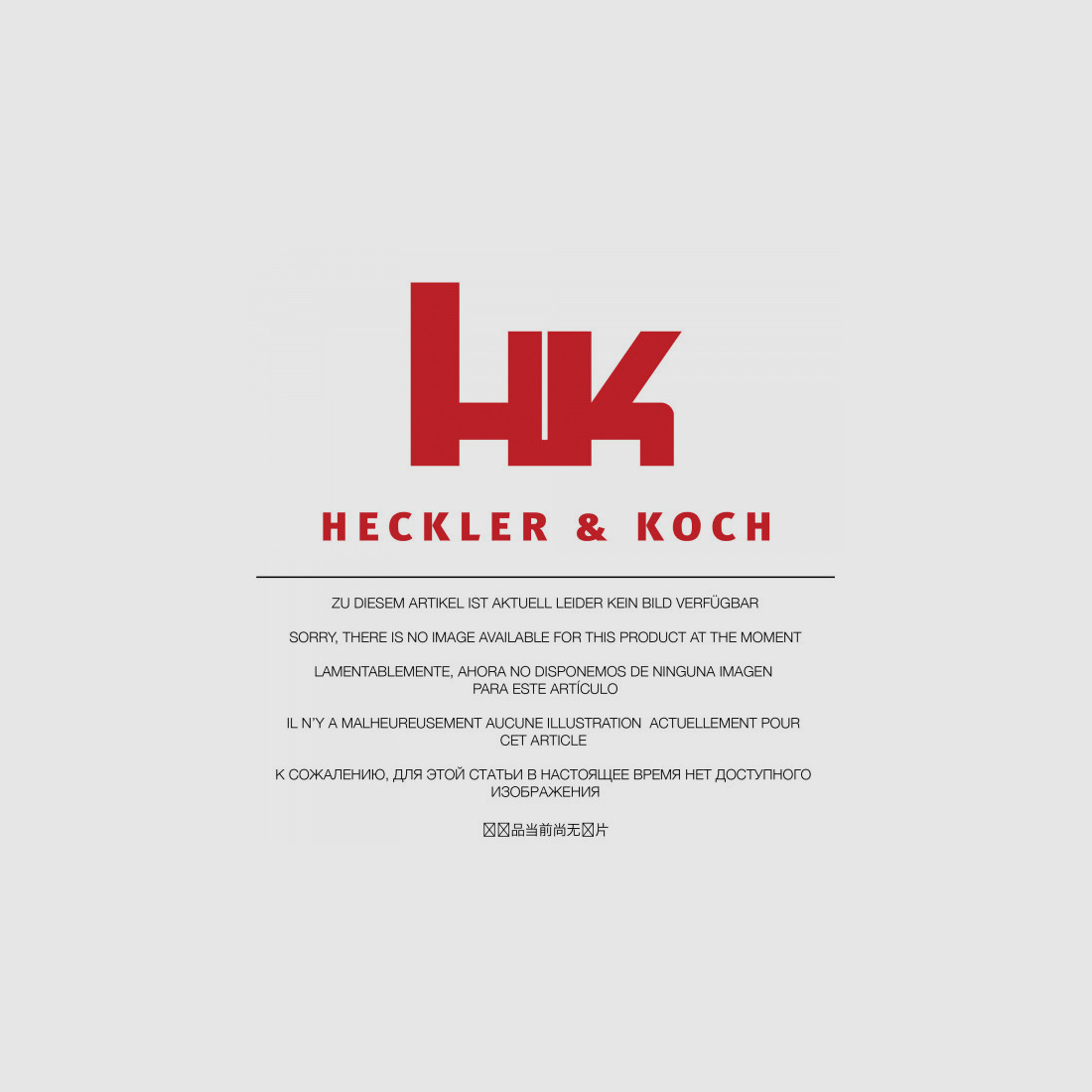 Heckler & Koch Wechselmagazin HK SL8, HK243, G36 .223 Rem 2 Schuss #414031