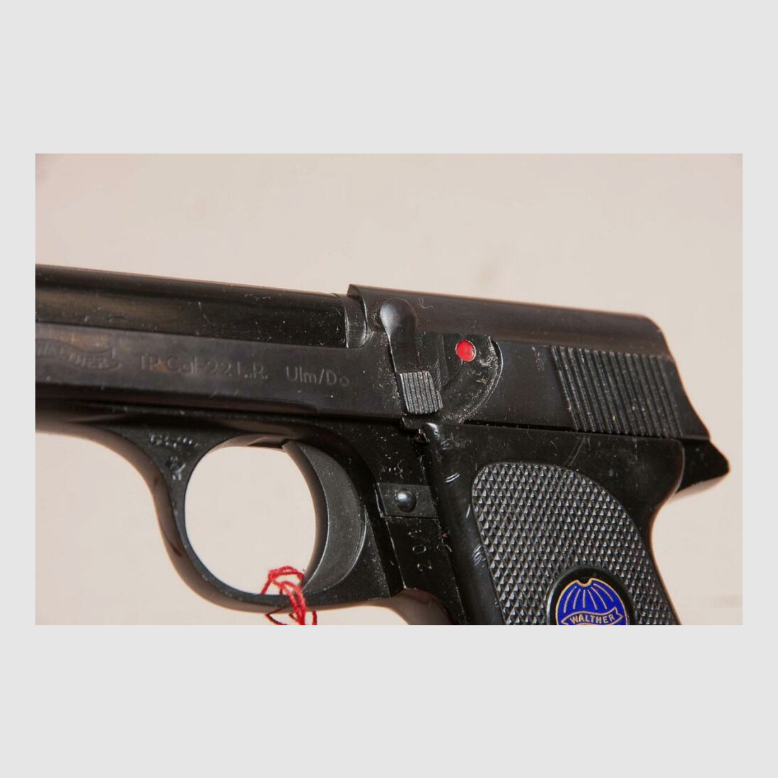 Walther TP caza de depredadores, caza de construcción, caza con trampas