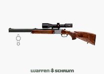 Blaser BBF97 Komplettangebot inkl. Optik