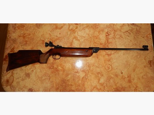 Walther LG 55