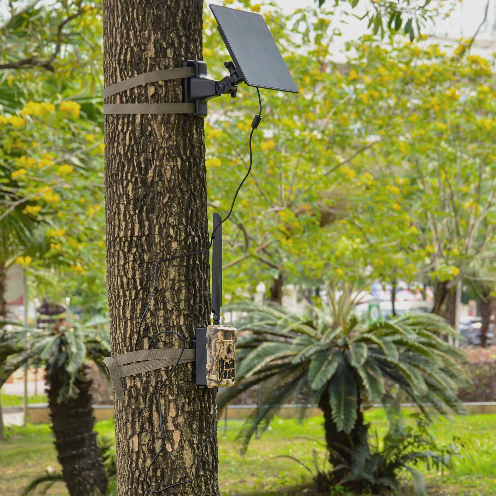 Solarpanel für Wildkameras 10.000 mAh – geeignet für 6V und 12V Kameras, Bild 7 von 9