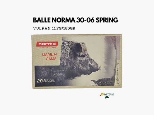 BALLE NORMA 30-06 VULKAN 180GR / 11.7G