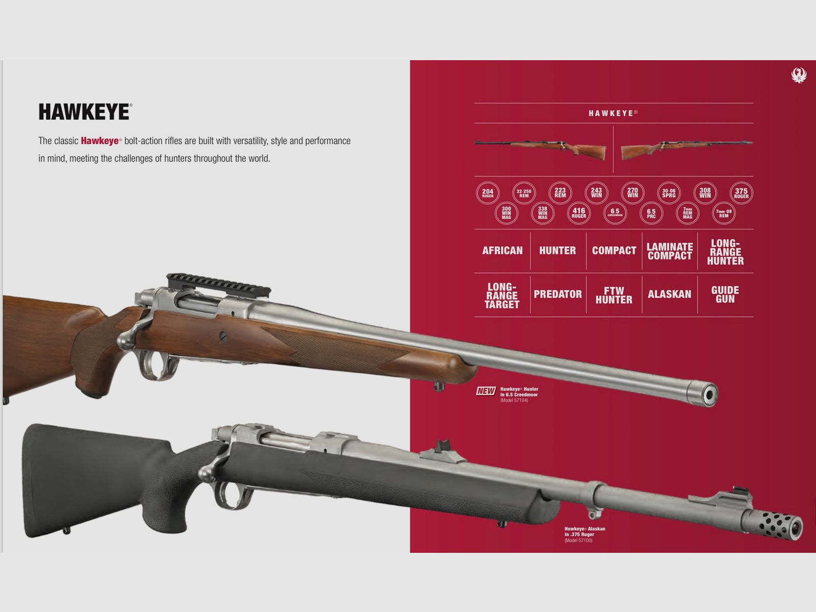 RUGER / CARABINA SEMIAUTOMÁTICA – BOLT ACTION / TODOS LOS MODELOS, imagen 14 de 16