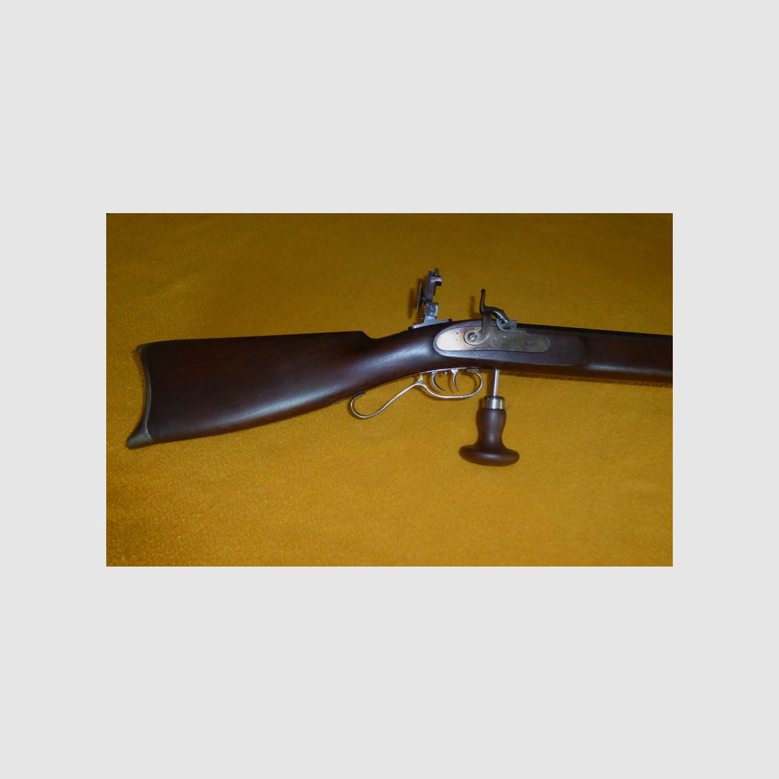 Perkussionsgewehr .38